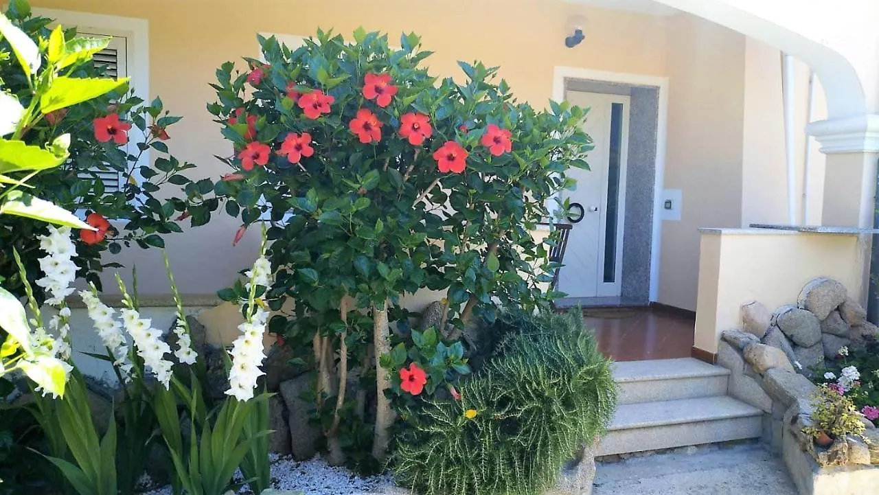 Casa Dolce Hibiscus Apartment Olbia