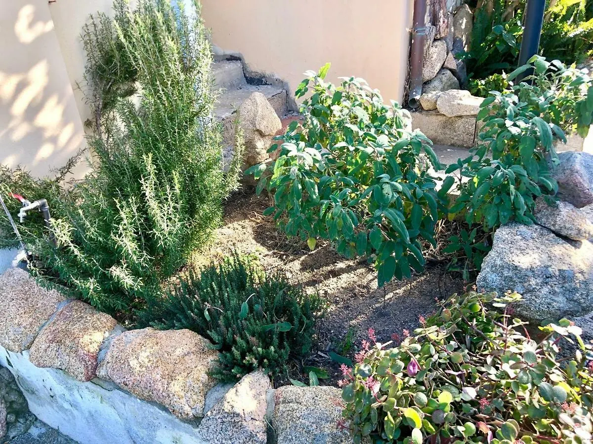 Casa Dolce Hibiscus Apartment Olbia 0*,